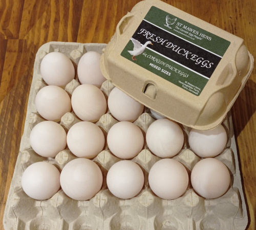 Cornish Duck Eggs Delivered