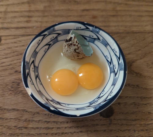 Cornish Quail Eggs